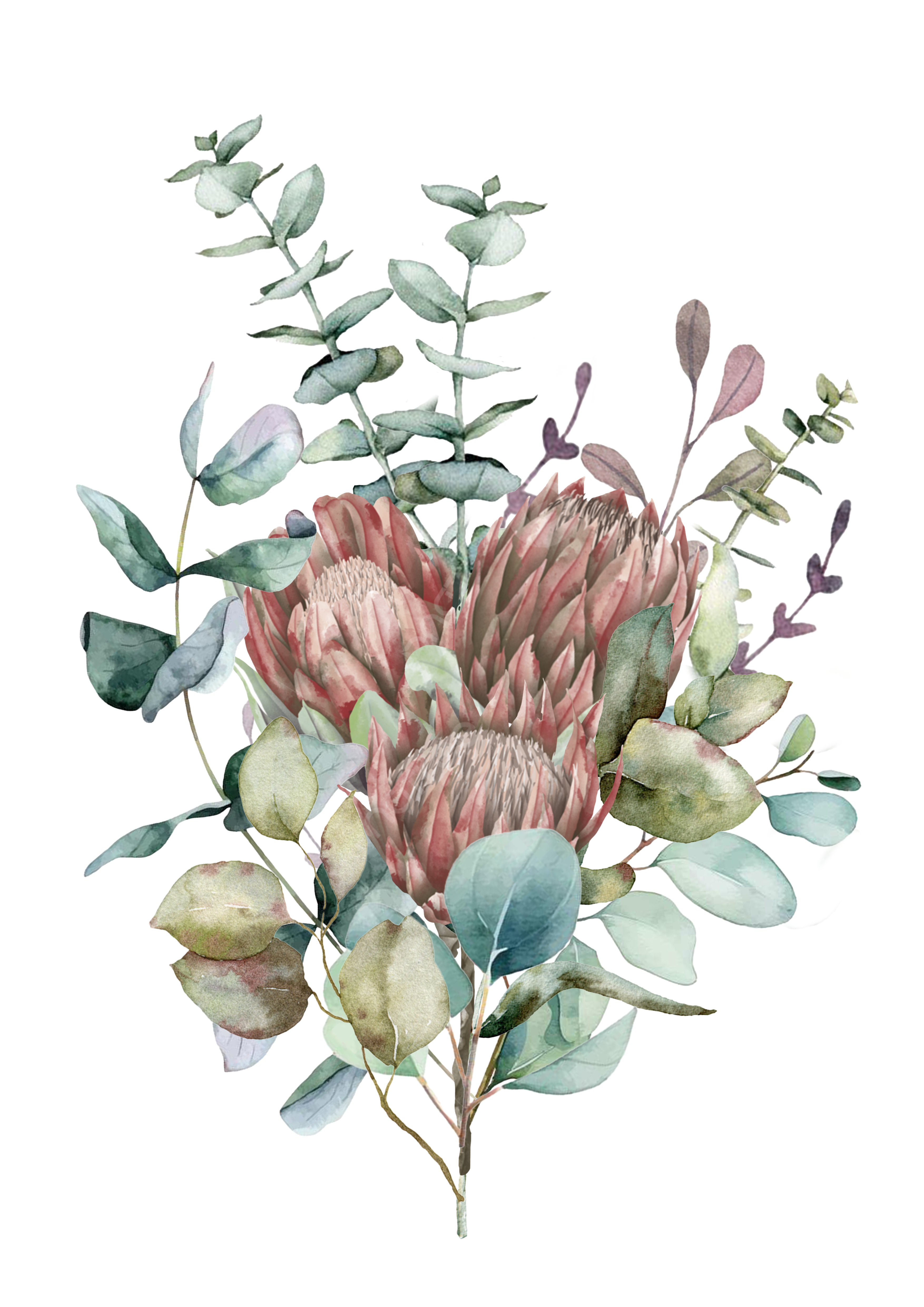 Protea Bloom