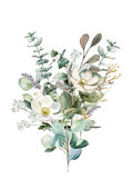 Wild Meadow