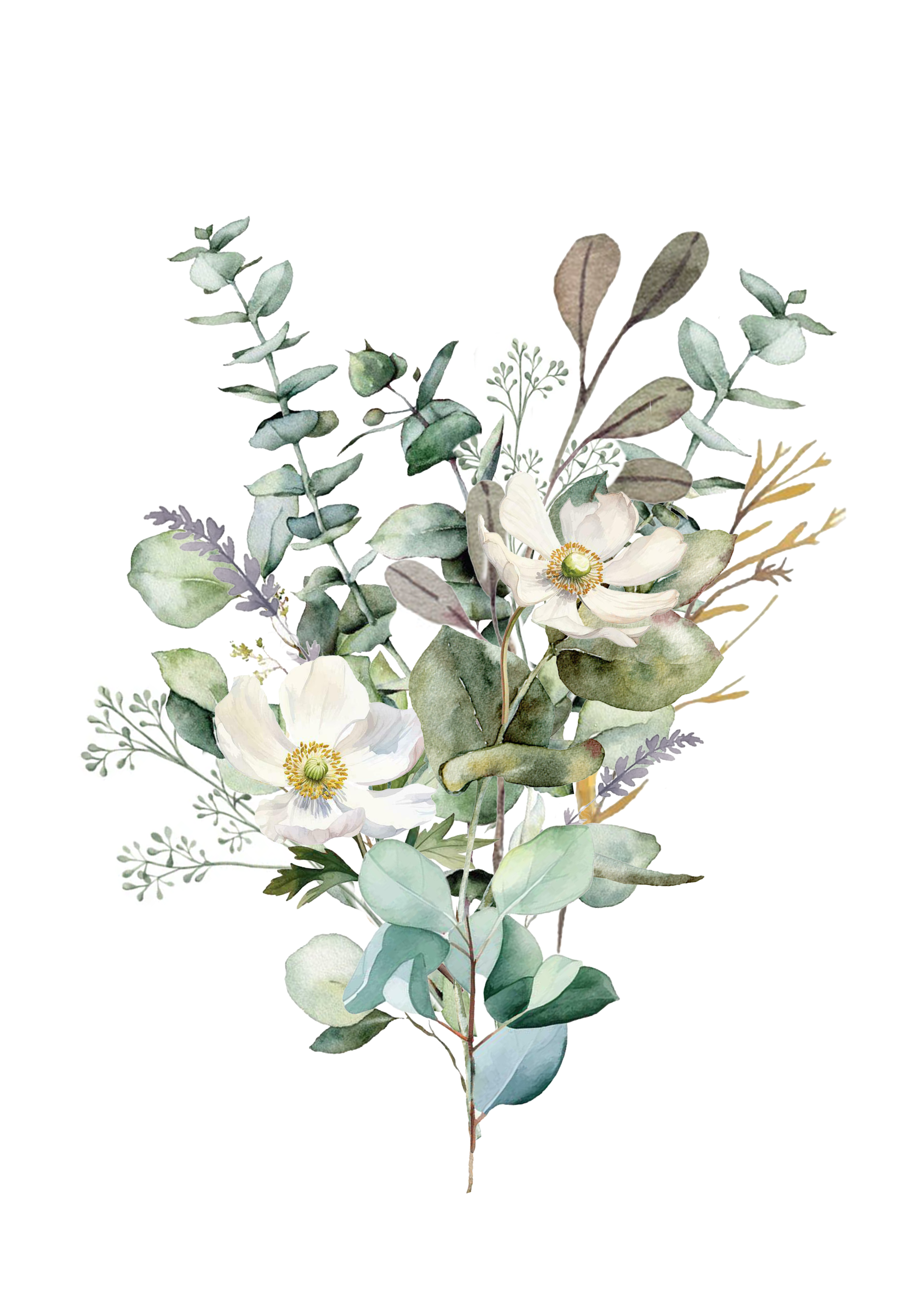 Wall Print Botanical Collection