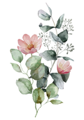 Blush Botanica